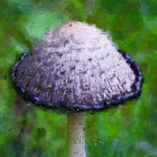 Close-up of an ink mushroom (art)