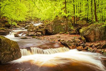 Der Harz und seine Flüsse