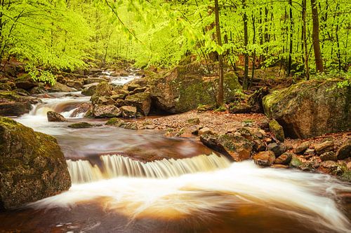 De Harz en zijn rivieren