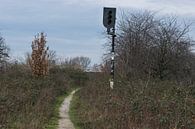 Verlassener Signalmast im Gebüsch von Patrick Verhoef Miniaturansicht