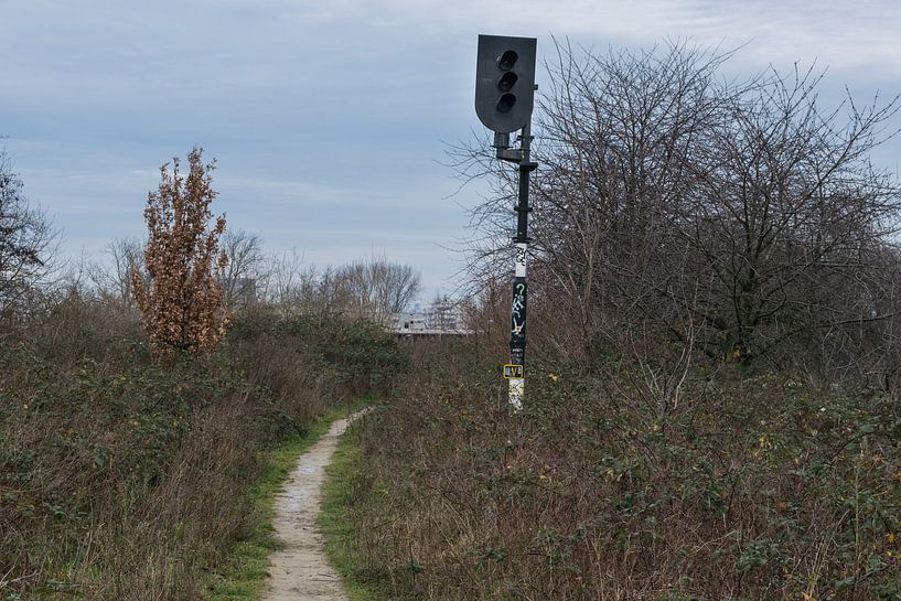 Verlassener Signalmast im Gebüsch von Patrick Verhoef