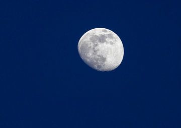 La lune dans le ciel nocturne sur Ann Motet