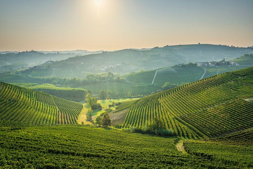 Weinberge der Langhe und das Dorf Neive im Hintergrund, Italien von Stefano Orazzini