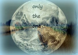 Only the one by Vera Laake