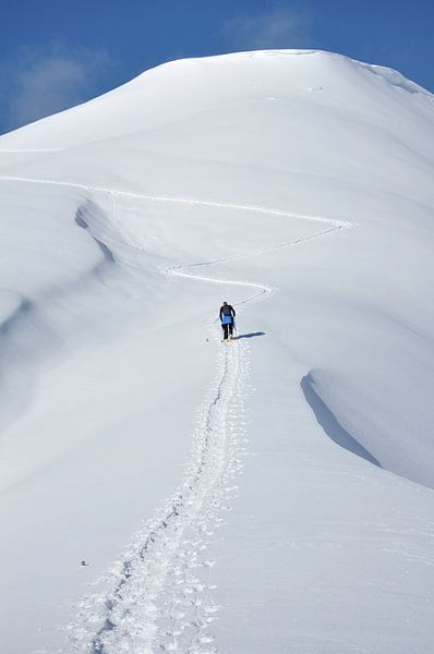 Walking by Monique van Waterschoot