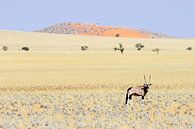 Die Weite der Namib von Britta Kärcher Miniaturansicht