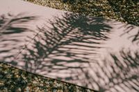 Die Schatten der Algarve