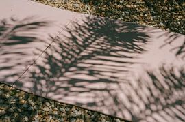 Die Schatten der Algarve von Mélanie Roelandts