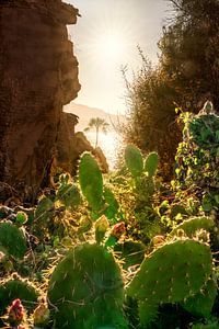 Costa del Sol Natur Landschaft