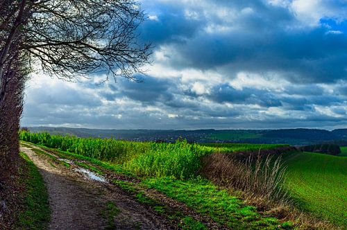 Landschaft Süd-Limburg