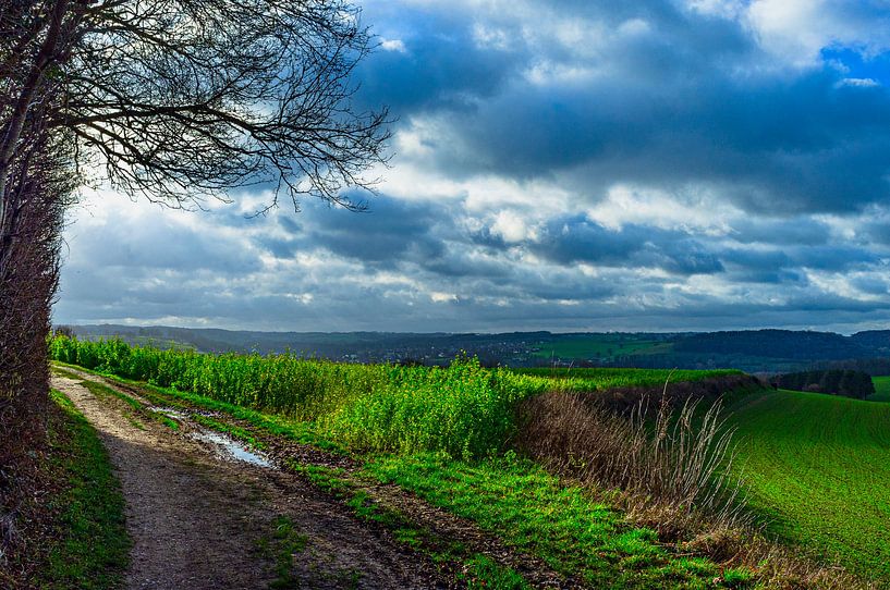 South Limburg landscape by george vogelaar