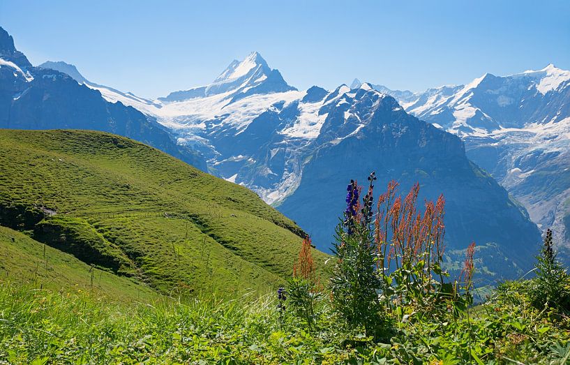 Alpenblick Grindelwald First, Berner Oberland von SusaZoom