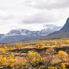 Herfst in Rondane van Barbara Brolsma