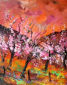 Blühende Kirschbäume von pol ledent