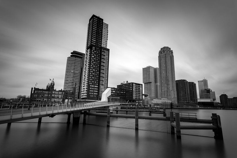 Rotterdam during the day by Albert Mendelewski