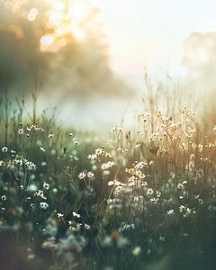Erwachen der Herbstnatur