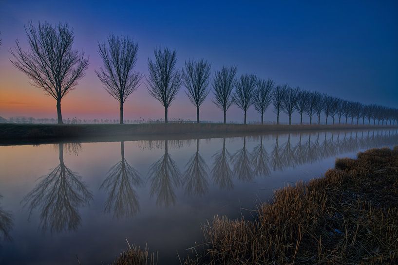Strakke bomenrij langs de vaart van peterheinspictures