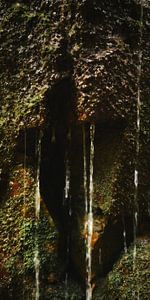 Regen-Fall