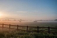 Nederlands landschap zonsondergang zonsopgang weiland en paarden van Déwy de Wit thumbnail