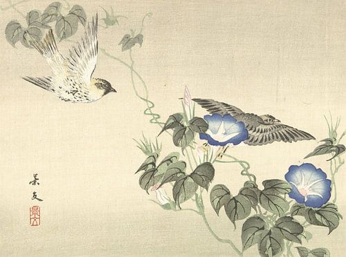 Deux oiseaux volant au liseron bleu par Matsumura Keibun - 1892