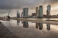 Rotterdam! van Ronald van Kooten thumbnail