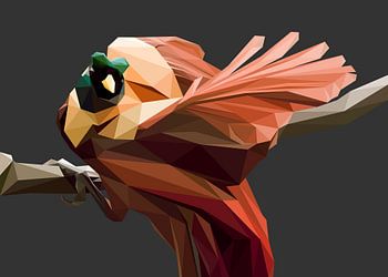 Rode Cendrawasih vogel in lage resolutie