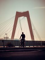 Framed by Willem