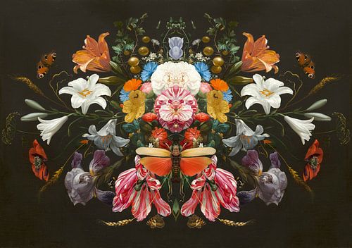 Still Life - The Wondering