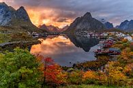 Sonnenuntergang auf den Lofoten von Achim Thomae Photography Miniaturansicht