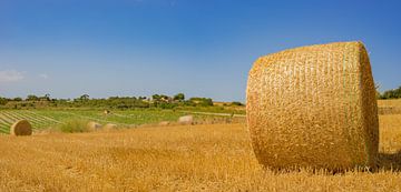 Geoogst veld met strobalen zomer herfst van Alex Winter