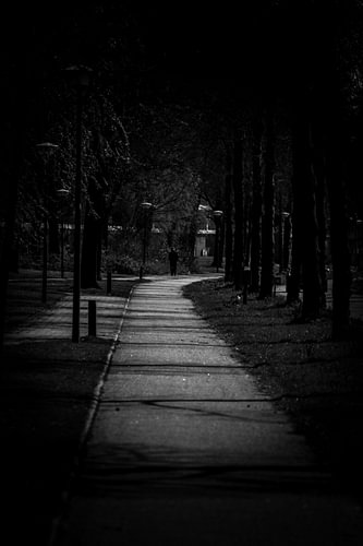 Het wandelpad