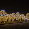 Magdeburgs Lichtwereld op het Domplein van t.ART