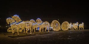Magdeburger Lichterwelt auf dem Domplatz