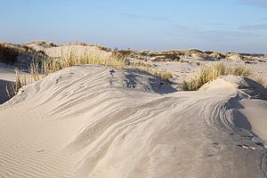 Traces de vent sur Louise Poortvliet