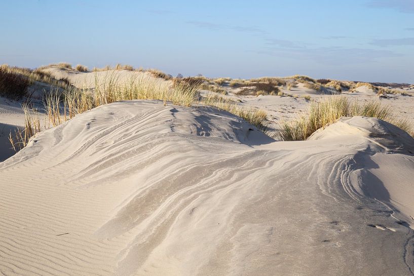 Traces of wind by Louise Poortvliet