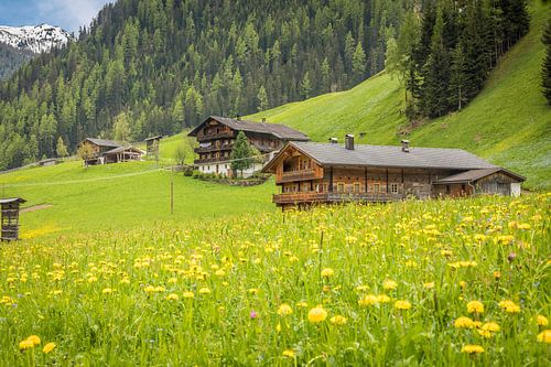 Zomerweiden en bergboerderijen in het Arntal, Villgratental