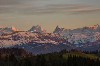 Schreckhorn und Finsteraarhorn vom Emmental aus im Abendrot beim Sonnenuntergang