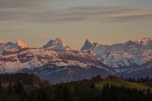 Schreckhorn und Finsteraarhorn vom Emmental aus im Abendrot beim Sonnenuntergang