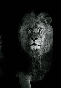 Der Löwe