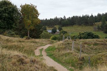 Vosges by Madeltijntje