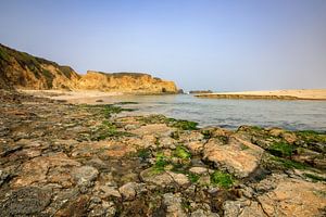 Pescadero Creek niedrig