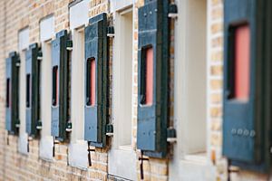 Farbige holländische Fensterläden
