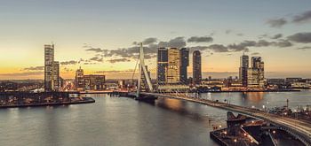 Rotterdam at dawn