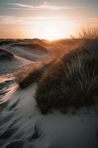 Zandduinen op het strand V1