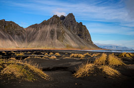 Der Vestrahorn-Berg in Island von Laimute Kuriene