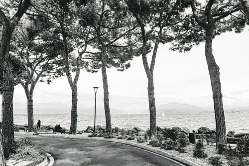 Autour de la rue