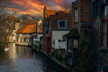 Bruges die Scone by Tejo Coen