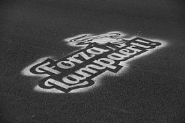 Forza Lampaert for ever by FreddyFinn