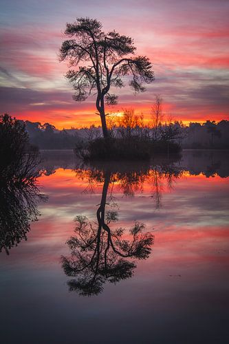 Roter Sonnenaufgang Voorste Goorven Oisterwijk