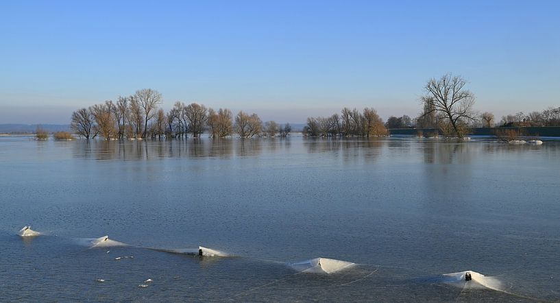 Insel Maurik. von Jose Lok